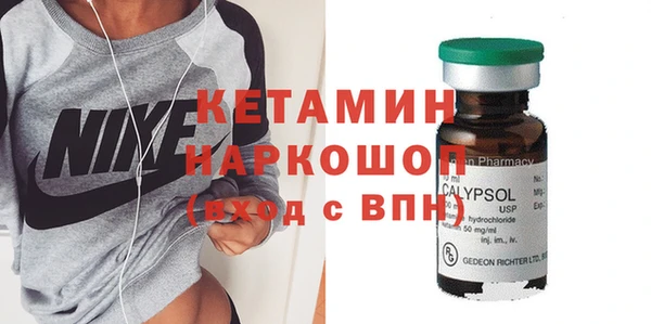 соль ск Новозыбков