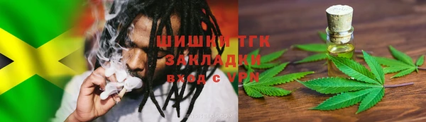 крисы Новодвинск