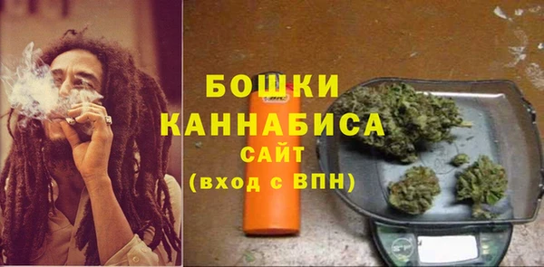 крисы Новодвинск