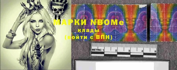 соль ск Новозыбков