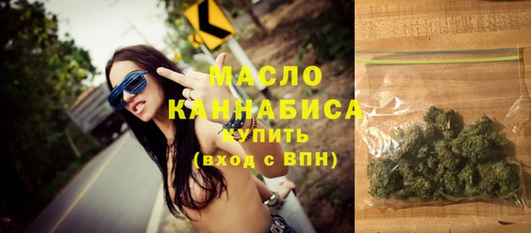 соль ск Новозыбков