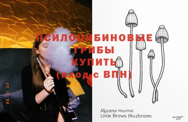 соль ск Новозыбков