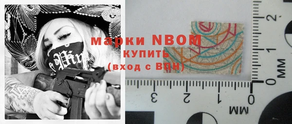 соль ск Новозыбков