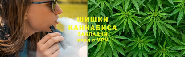 соль ск Новозыбков