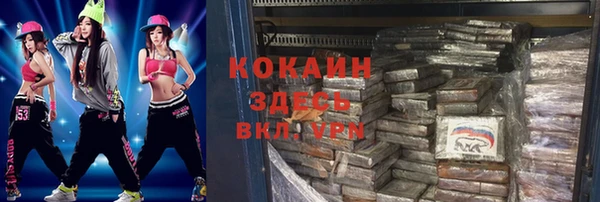 соль ск Новозыбков
