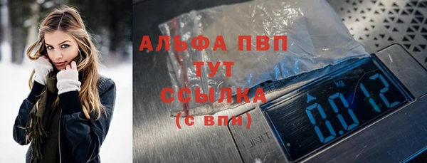 соль ск Новозыбков