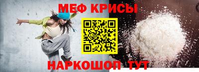 прущие грибы Гатчина