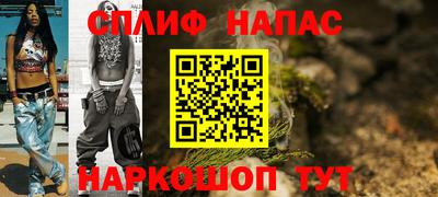 прущие грибы Гатчина