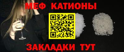 прущие грибы Гатчина