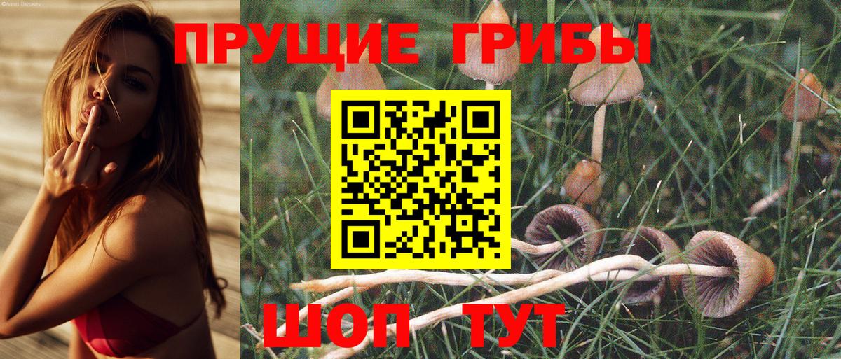 Анапа  Галлюциногенные грибы Psilocybe  Вход с VPN 