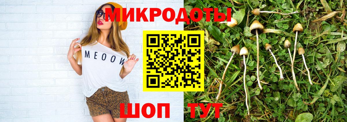 Галлюциногенные грибы Psilocybine cubensis  Галлюциногенные грибы мицелий  Анапа 