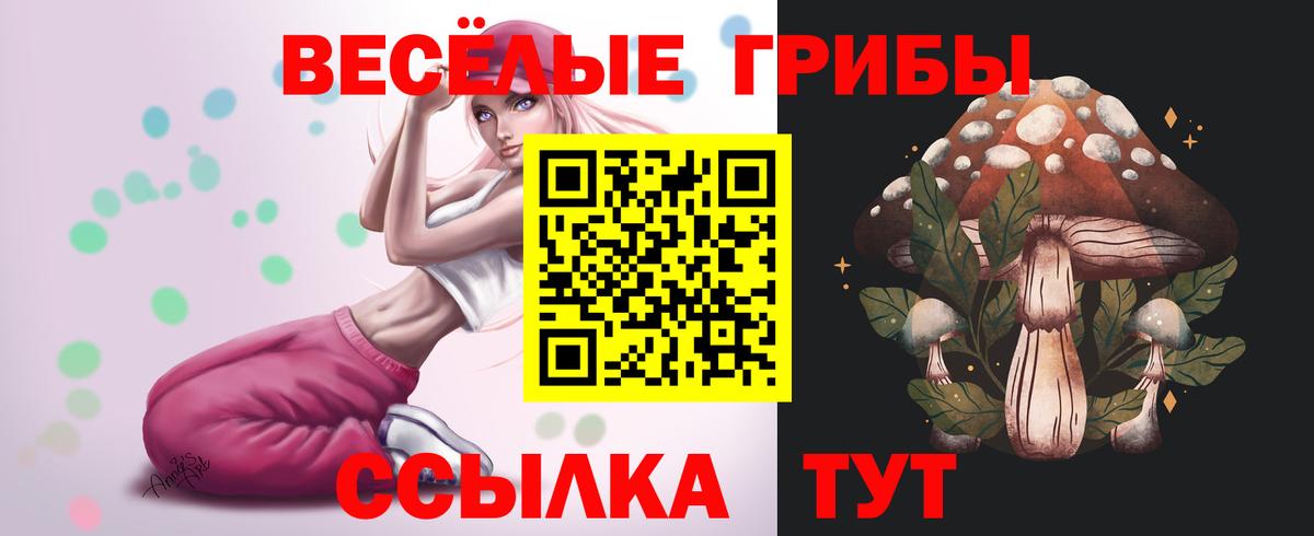 Галлюциногенные грибы прущие грибы Анапа