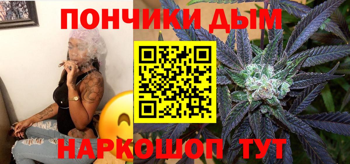 Анапа  Каннабис сатива  Каннабис планчик  Вход с VPN  Конопля Bruce Banner  Бошки марихуана OG Kush 